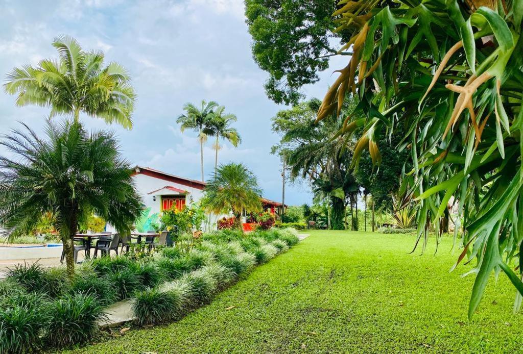Finca Hotel El Laurel - Parque Del Cafe مونتينيغرو المظهر الخارجي الصورة