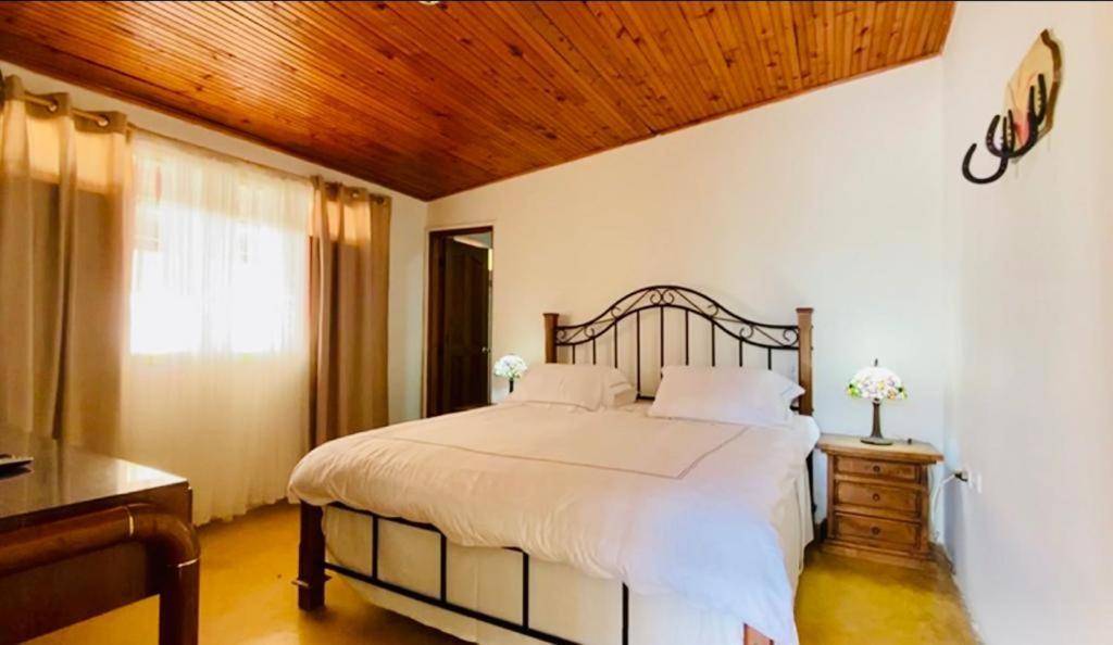Finca Hotel El Laurel - Parque Del Cafe مونتينيغرو المظهر الخارجي الصورة